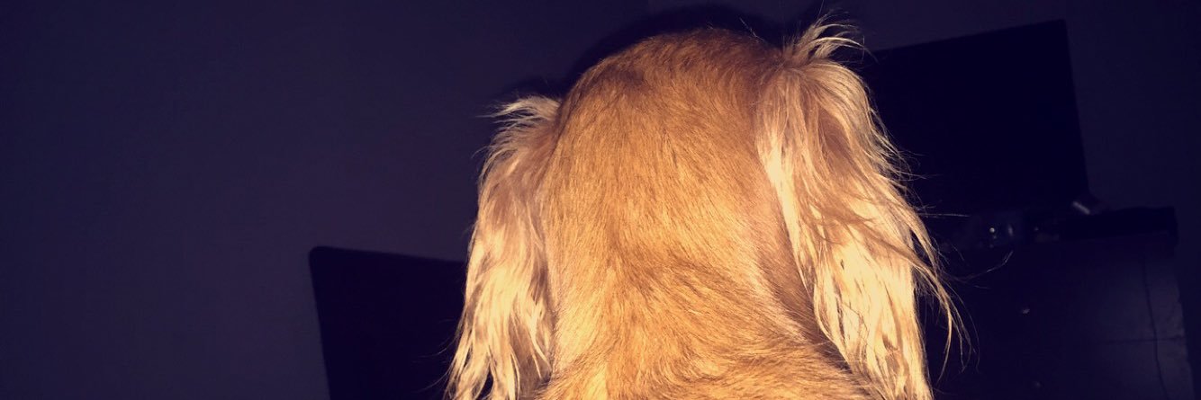 thesohawt's profile banner image