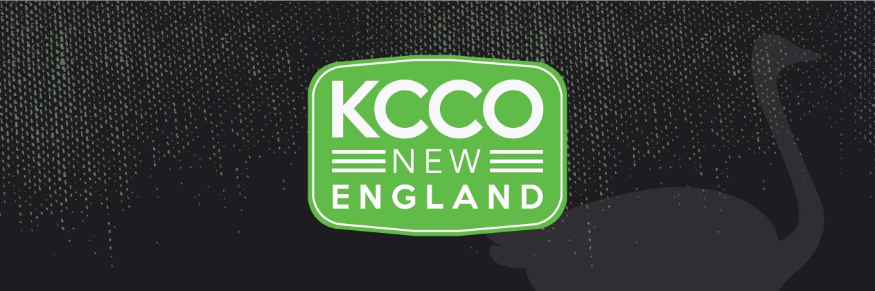 Chive New England banner