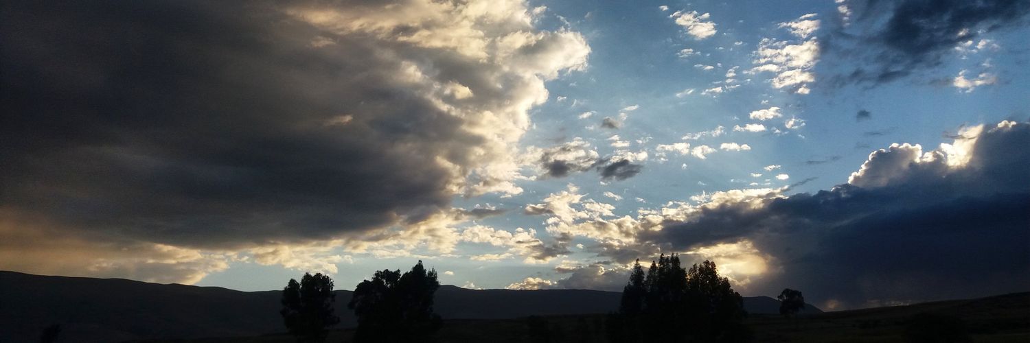 lili4na's profile banner image