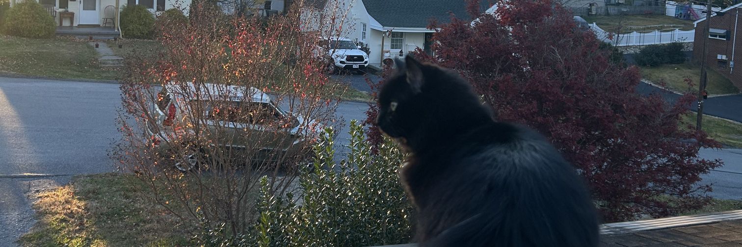 sammydavin0's profile banner image