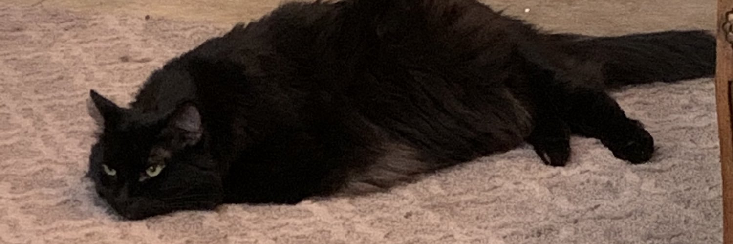 armapplesauce's profile banner image