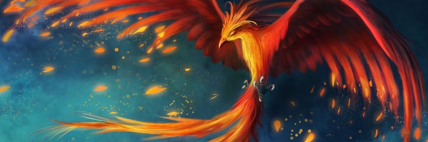 Adaomiranda13's profile banner image