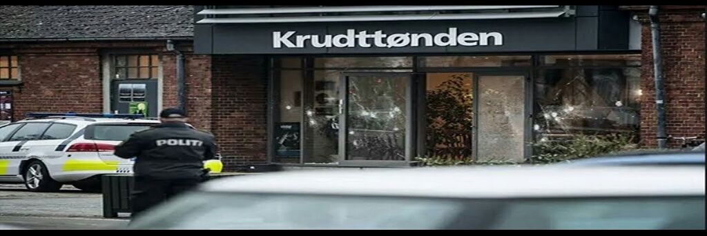 PegidaDK's profile banner image