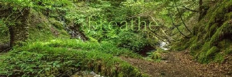 MamaTree79's profile banner image