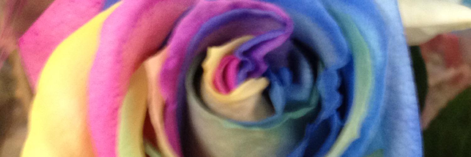 Roxanneyul's profile banner image