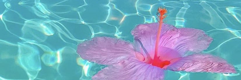 celouuu_'s profile banner image