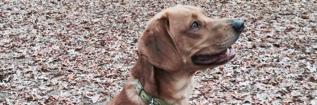 Timmmmmaaaa's profile banner image