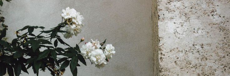 َ banner