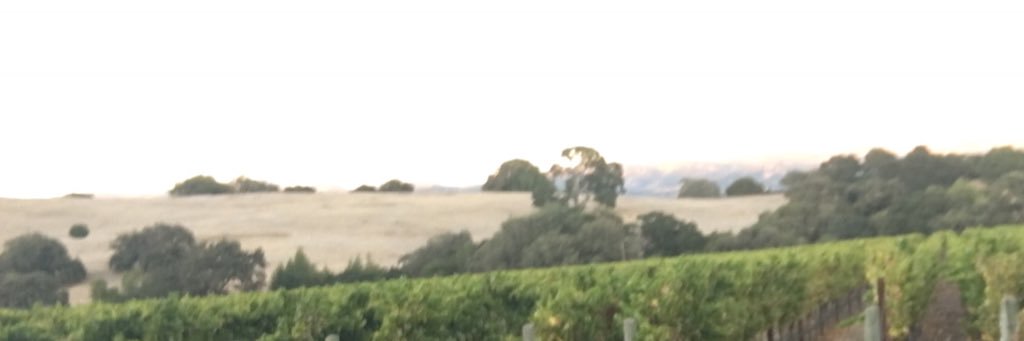 ebregist's profile banner image
