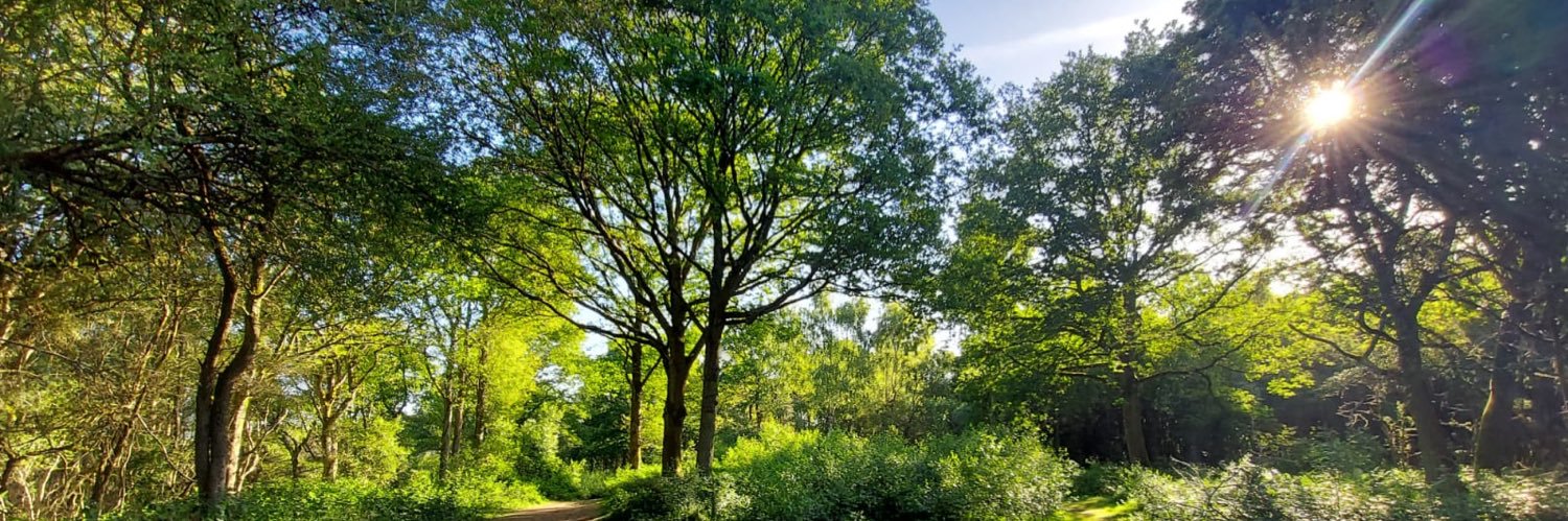 HelenRWallis's profile banner image
