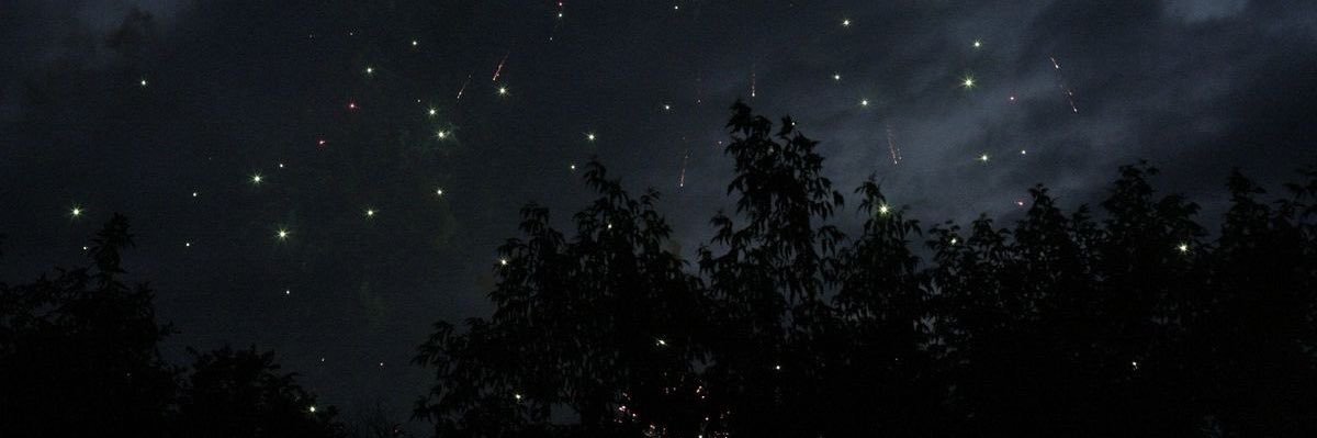 JustEllen__x3's profile banner image