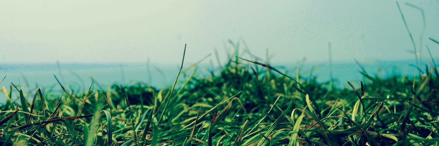 Guogxy's profile banner image