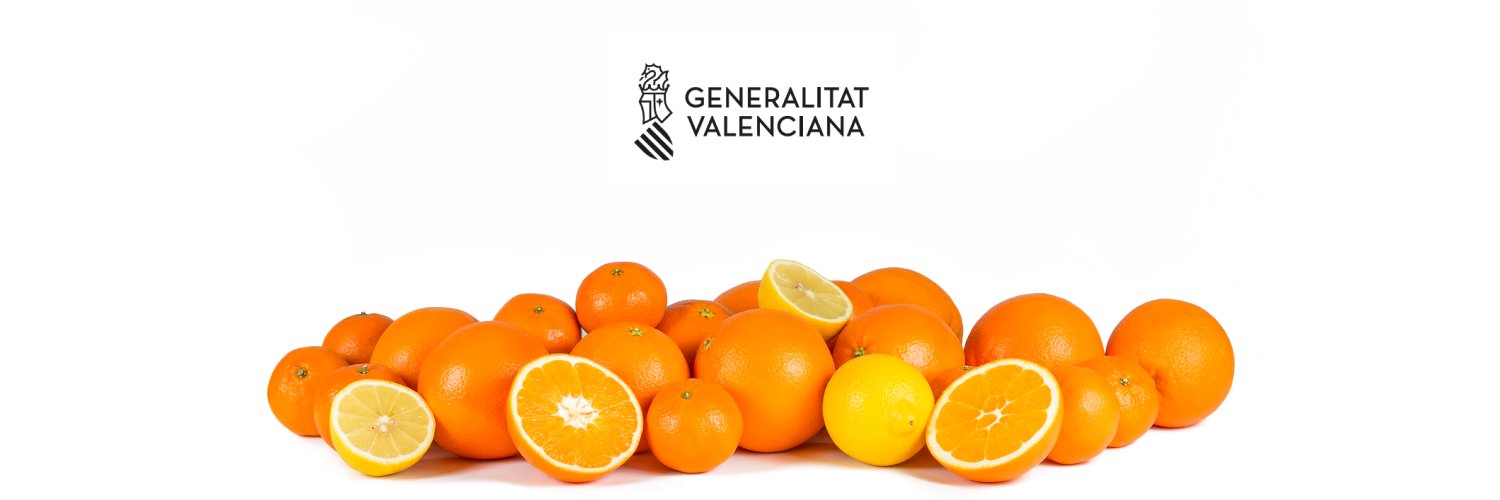 IGP Cítricos Valencianos's banner