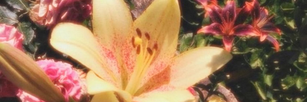 d04377's profile banner image