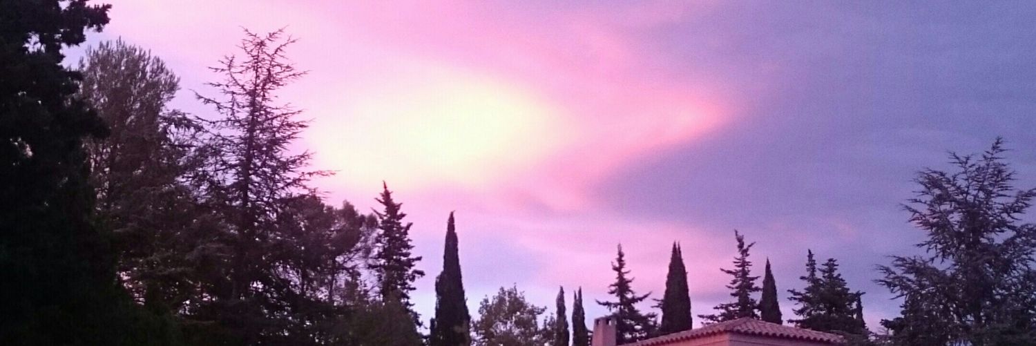 Pascale 🎶☀🎶 banner