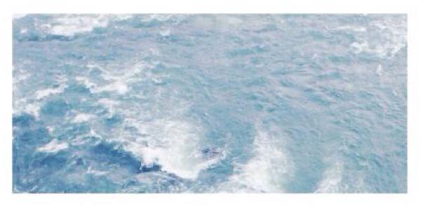 Homuragdr's profile banner image