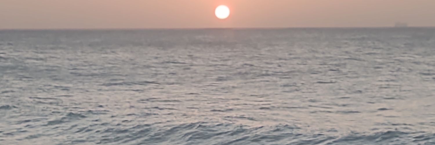 SLS The 🌄 will rise and we will try again banner