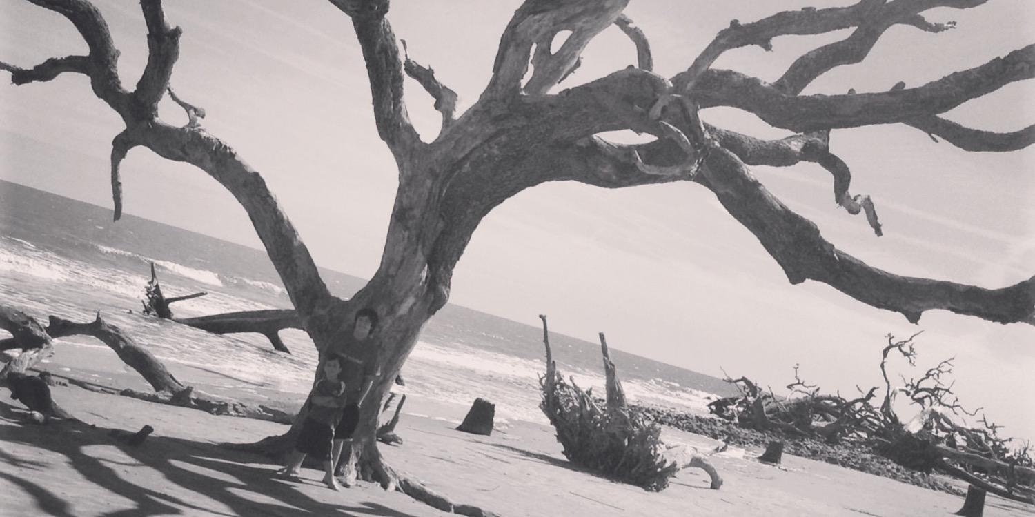 KirklandMickey's profile banner image