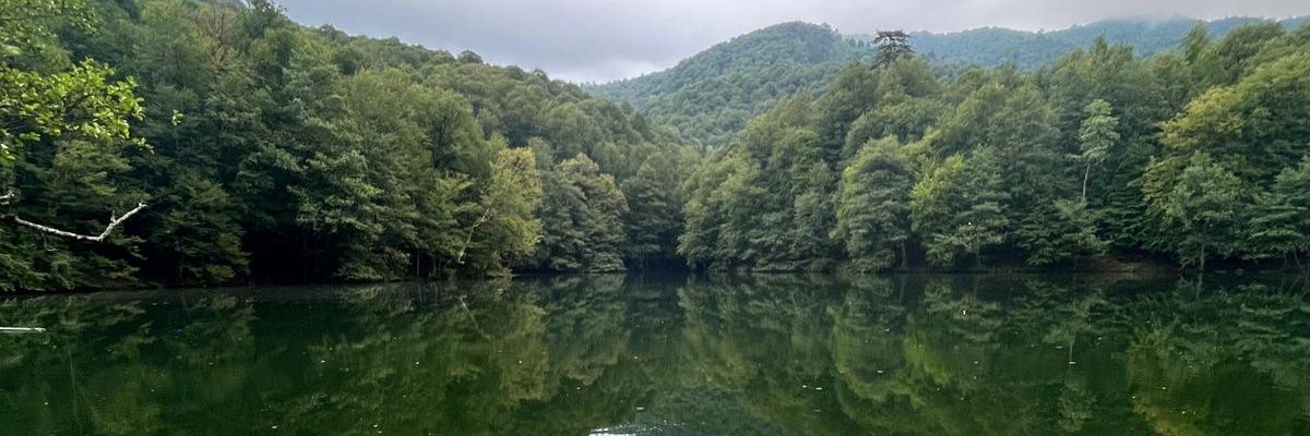 mecbureen's profile banner image