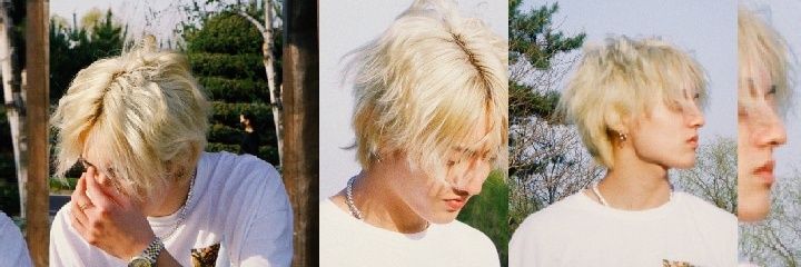wtnabescott's profile banner image