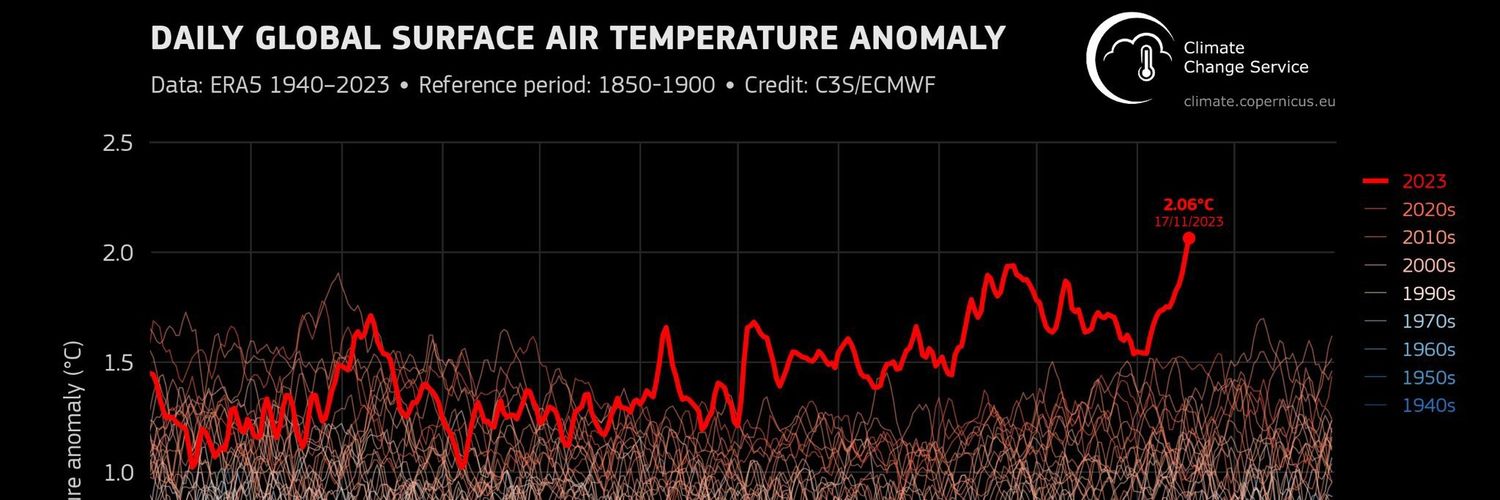 Mancunian Spring🐝 banner