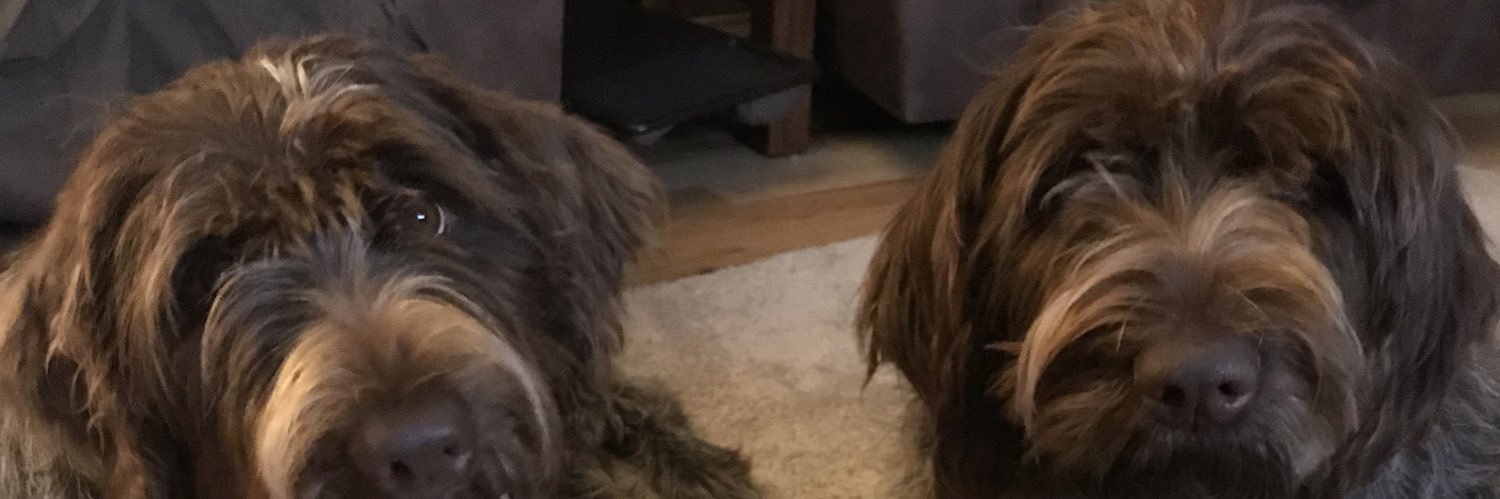 beckyy382's profile banner image