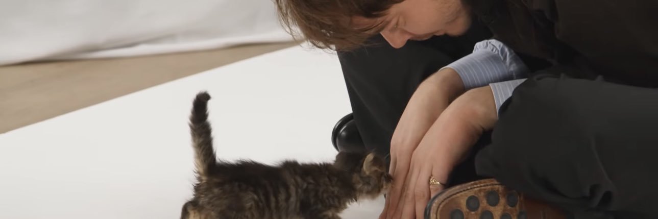 🤷🏾‍♀️ Queen of Sheba 🍁🍂 banner