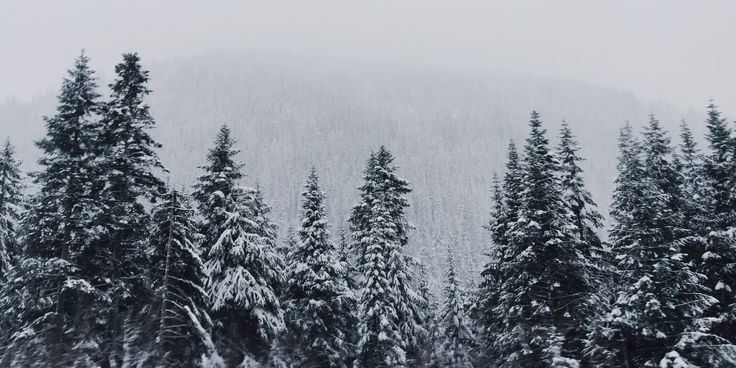 akeargdr's profile banner image