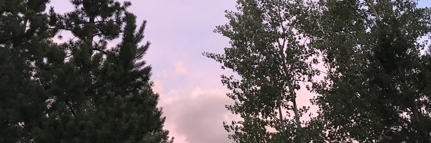 ember_lynnn's profile banner image
