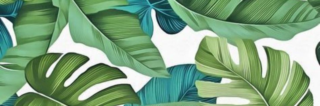 santdnpr's profile banner image