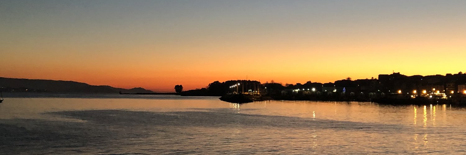 Susana Reverter banner