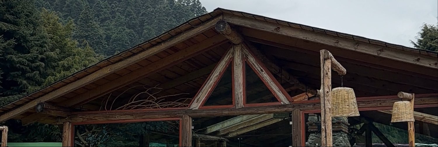 nyarenyhe's profile banner image