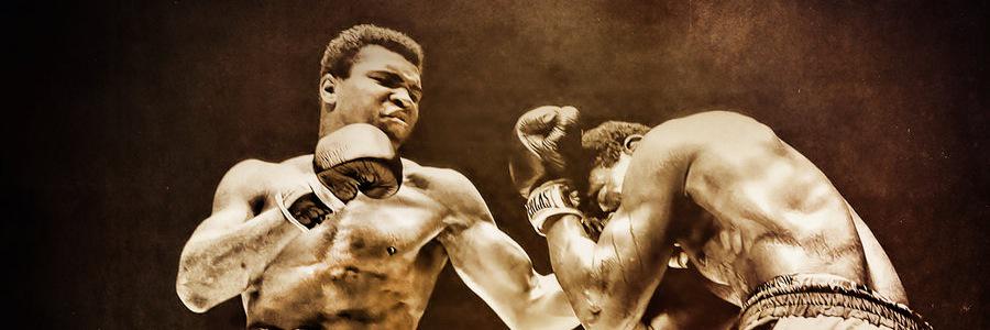 HDSportsStreams's profile banner image
