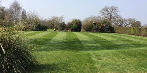 MonksGreenFarm's profile banner image