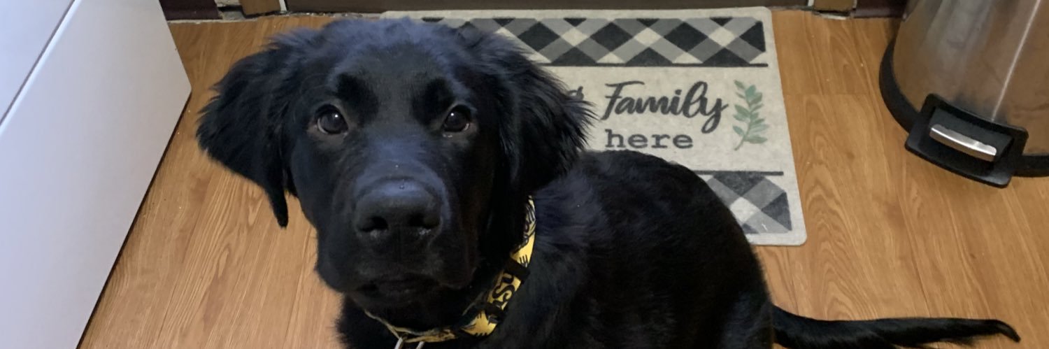 BoGooch35's profile banner image