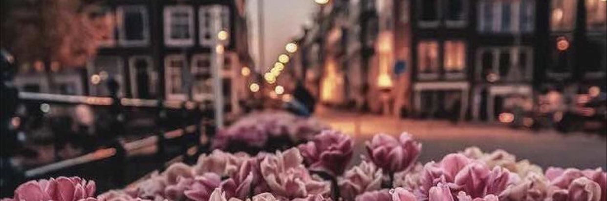 mariamkhira1's profile banner image