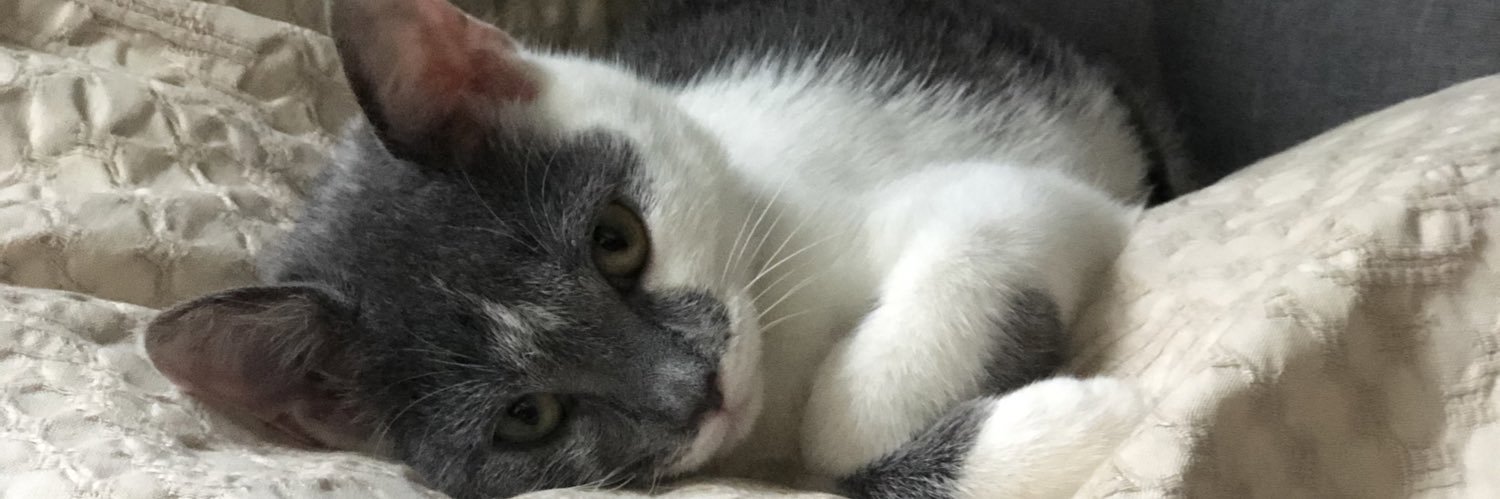 kluna000's profile banner image