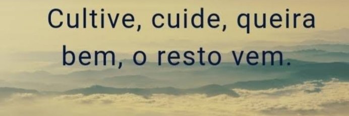 Bruno Campos banner