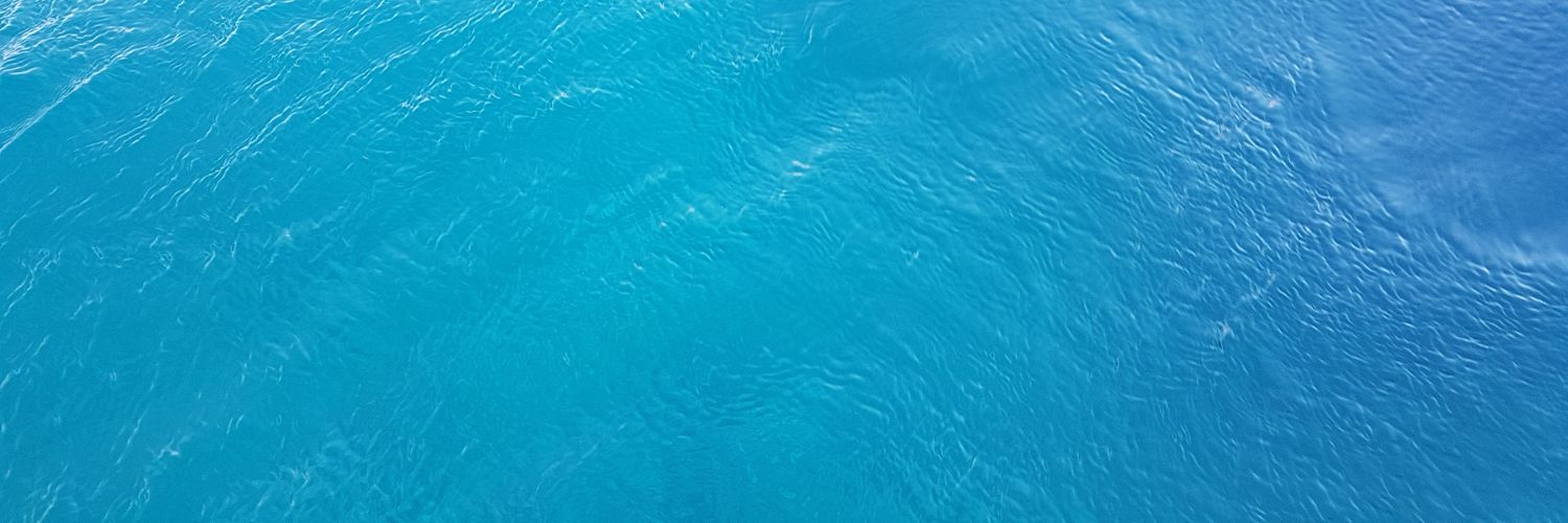 SarahFrnch's profile banner image