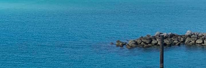 Cynthia Sutton banner