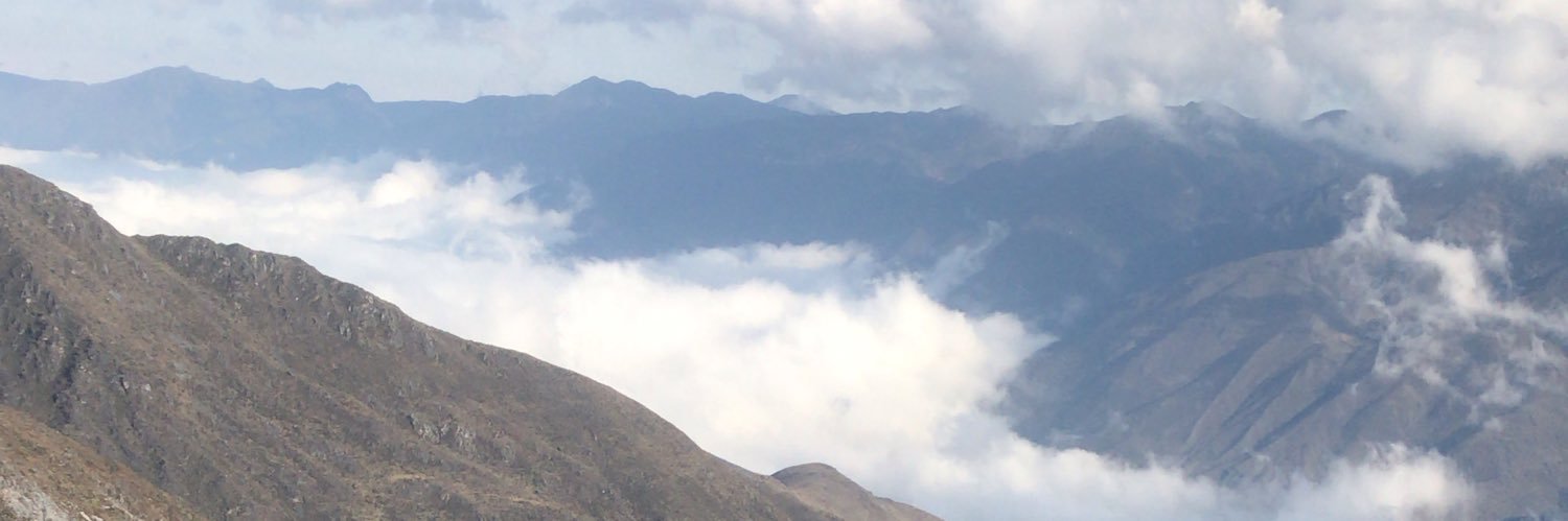 rogelionanez's profile banner image