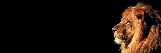 cahit_gs's profile banner image