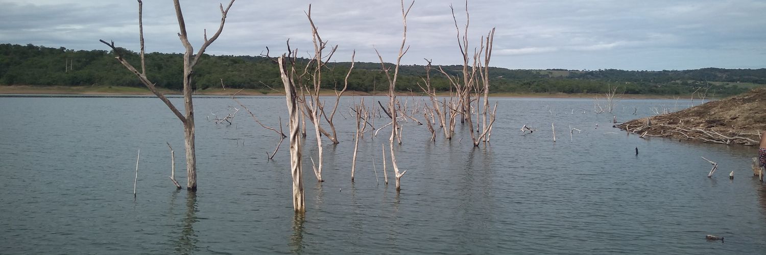 AfonsiNho banner