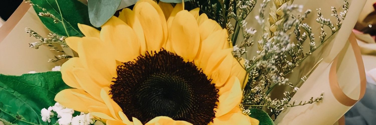 kucingkubolu's profile banner image