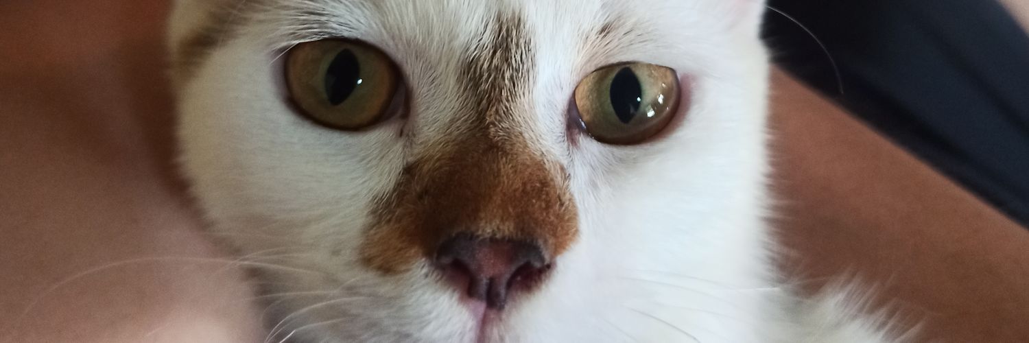 n_fauzi's profile banner image
