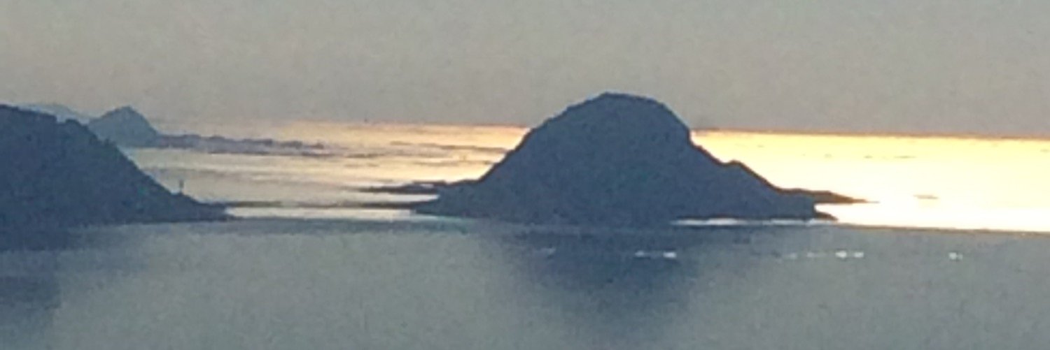 ingrid bay-larsen banner