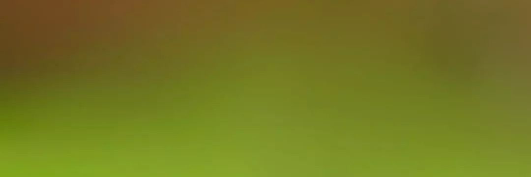 อาอิโน๊ะโมะโต๊ะ banner