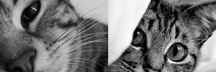 noopar888's profile banner image