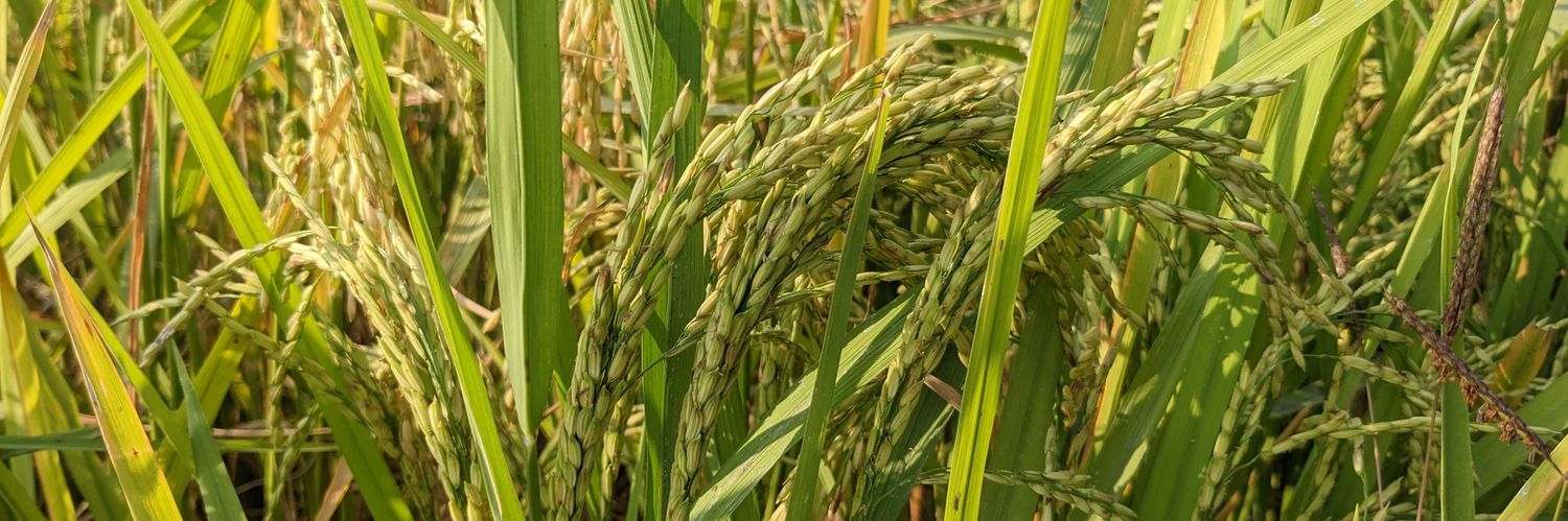 DEVENDRA KUMAR MARAVI banner