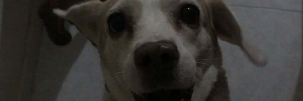 _mariacmv's profile banner image